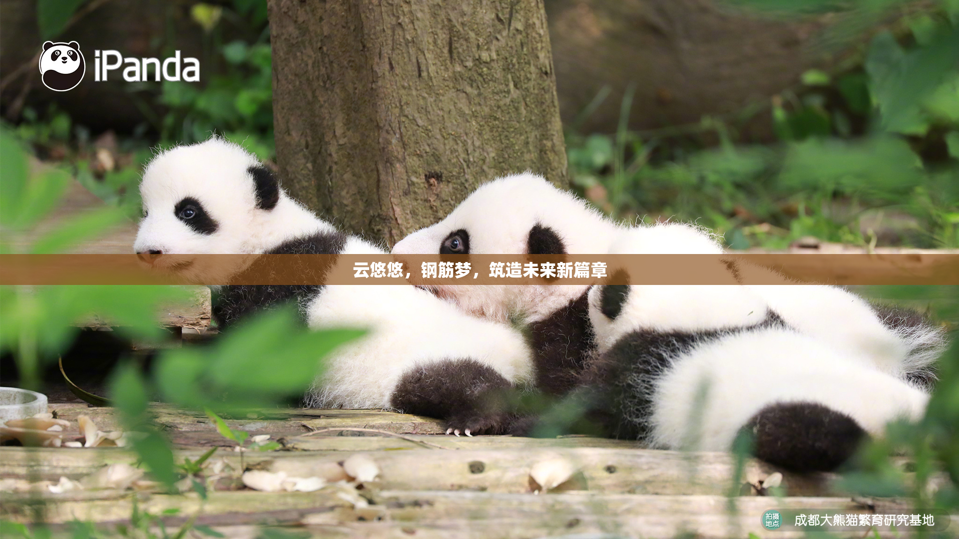 云悠悠，钢筋梦，筑造未来新篇章
