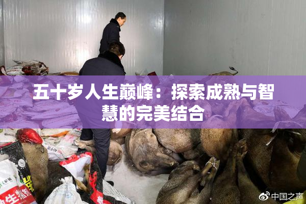 五十岁人生巅峰：探索成熟与智慧的完美结合