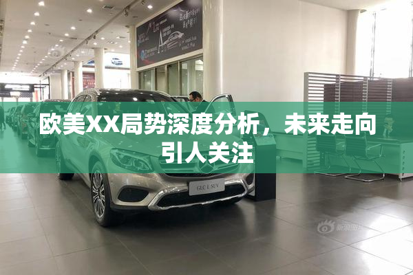 欧美XX局势深度分析，未来走向引人关注