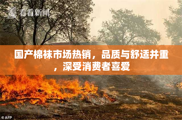 国产棉袜市场热销，品质与舒适并重，深受消费者喜爱