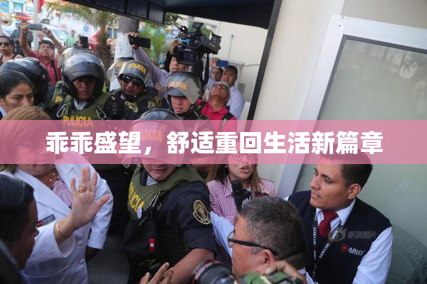 乖乖盛望，舒适重回生活新篇章