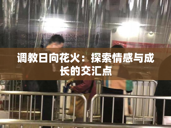 调教日向花火：探索情感与成长的交汇点