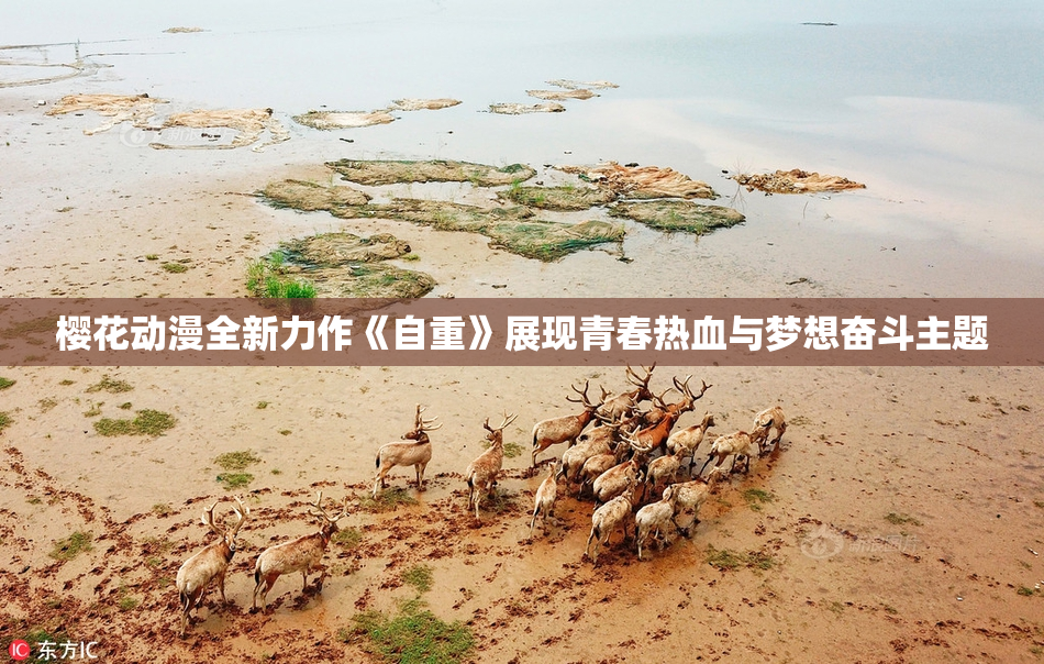 樱花动漫全新力作《自重》展现青春热血与梦想奋斗主题