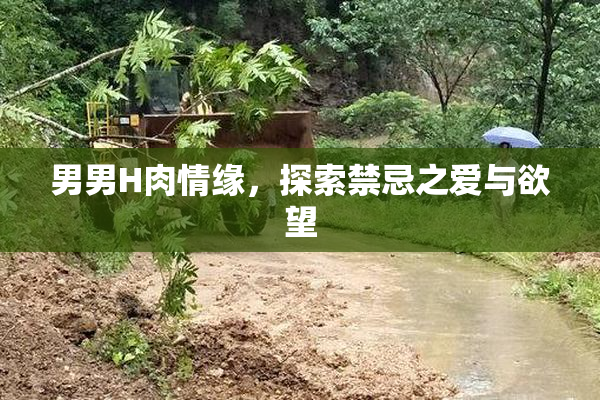 男男H肉情缘，探索禁忌之爱与欲望
