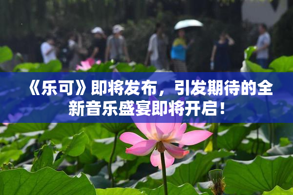 《乐可》即将发布，引发期待的全新音乐盛宴即将开启！