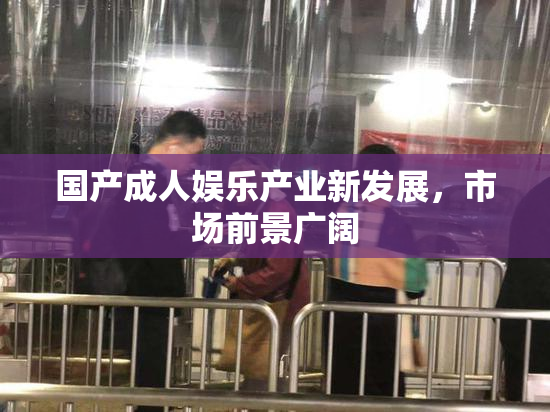 国产成人娱乐产业新发展，市场前景广阔