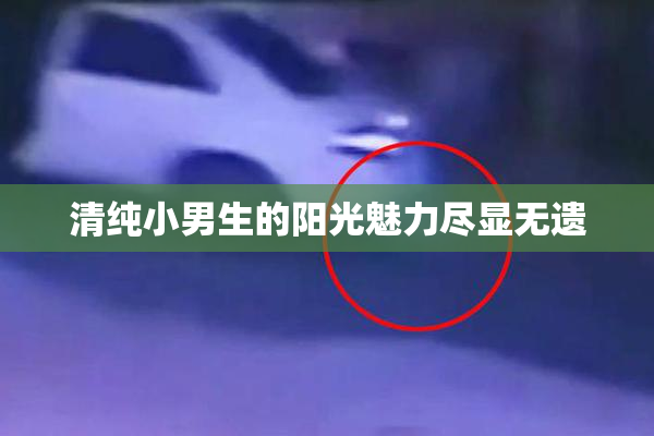 清纯小男生的阳光魅力尽显无遗