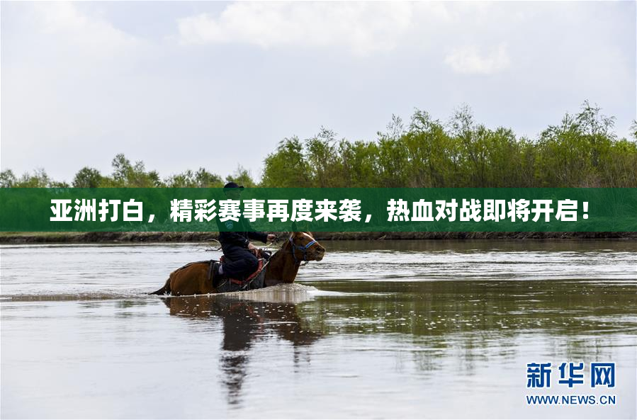 亚洲打白，精彩赛事再度来袭，热血对战即将开启！