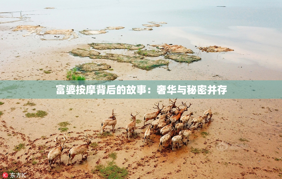富婆按摩背后的故事：奢华与秘密并存