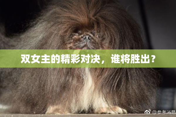 双女主的精彩对决，谁将胜出？