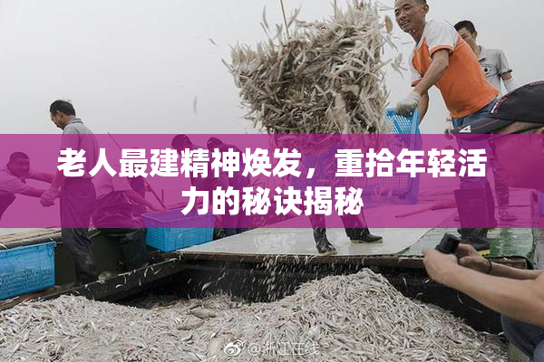 老人最建精神焕发，重拾年轻活力的秘诀揭秘