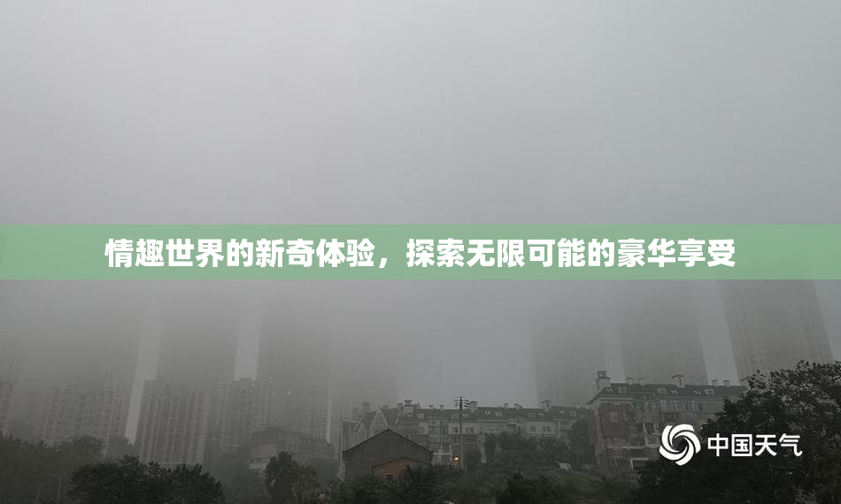 情趣世界的新奇体验，探索无限可能的豪华享受