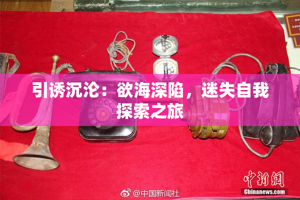 引诱沉沦：欲海深陷，迷失自我探索之旅