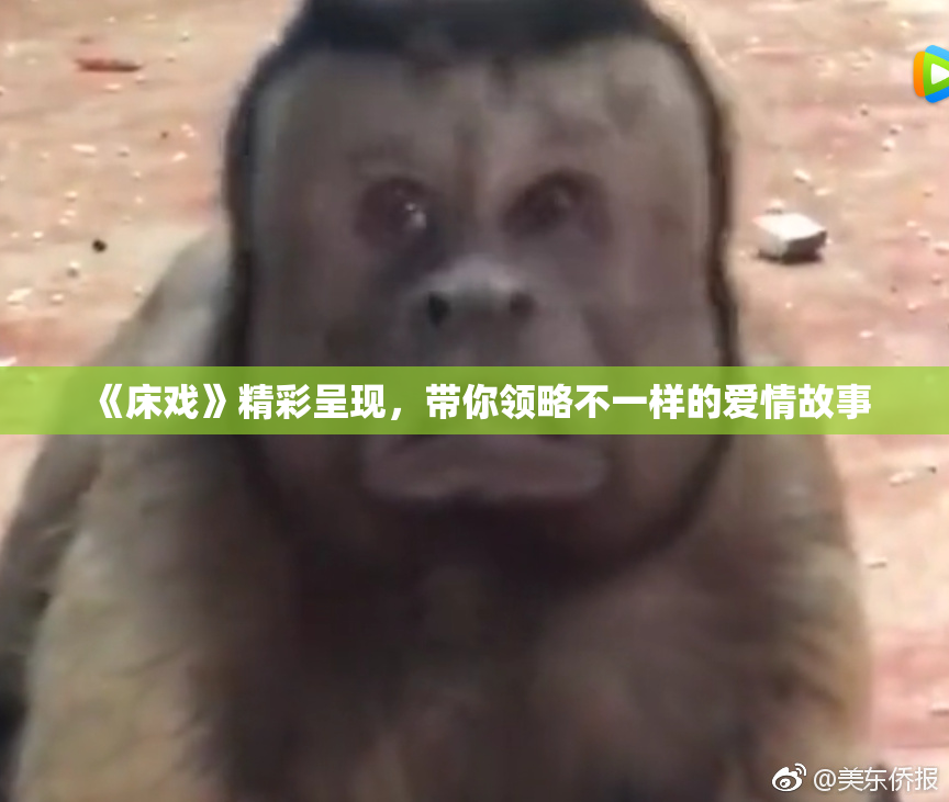 《床戏》精彩呈现，带你领略不一样的爱情故事