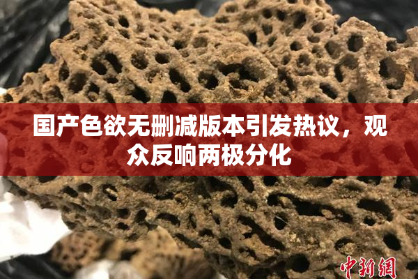 国产色欲无删减版本引发热议，观众反响两极分化