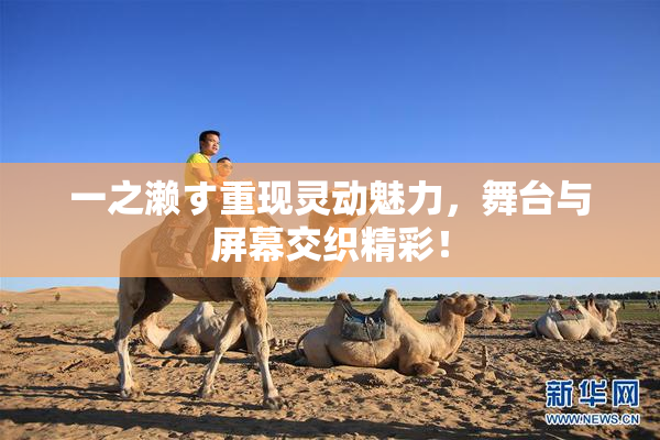 一之濑す重现灵动魅力，舞台与屏幕交织精彩！