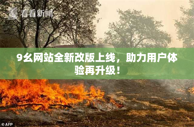 9幺网站全新改版上线，助力用户体验再升级！