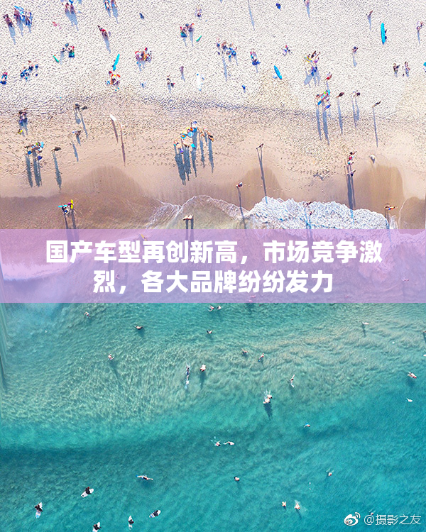 国产车型再创新高，市场竞争激烈，各大品牌纷纷发力