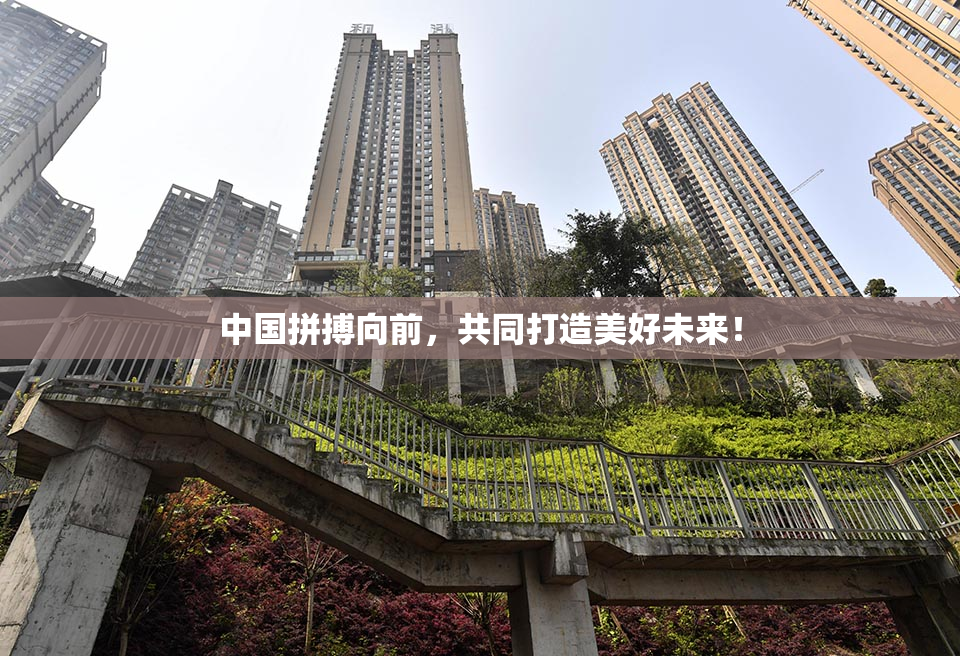 中国拼搏向前，共同打造美好未来！