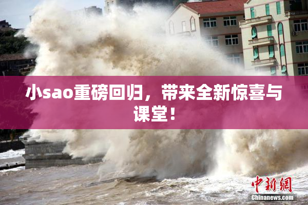 小sao重磅回归，带来全新惊喜与课堂！