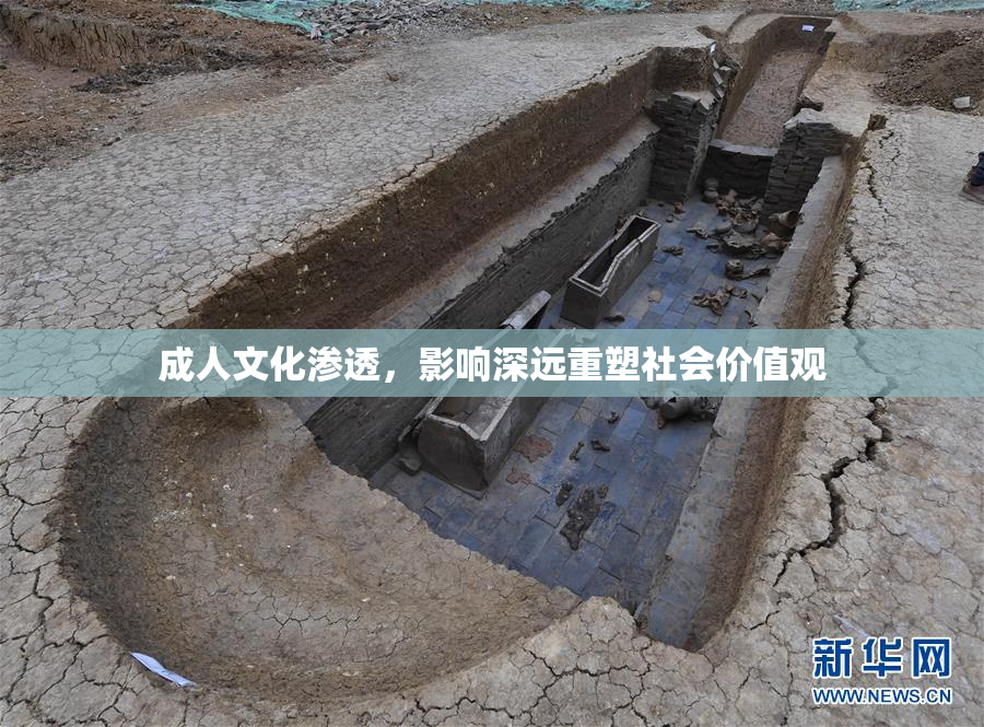 成人文化渗透，影响深远重塑社会价值观