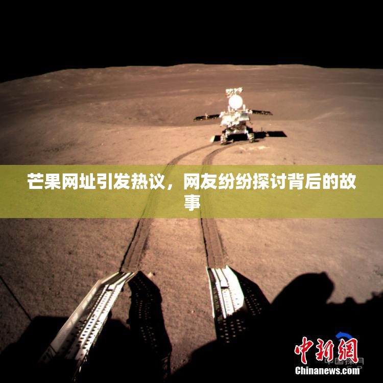芒果网址引发热议，网友纷纷探讨背后的故事