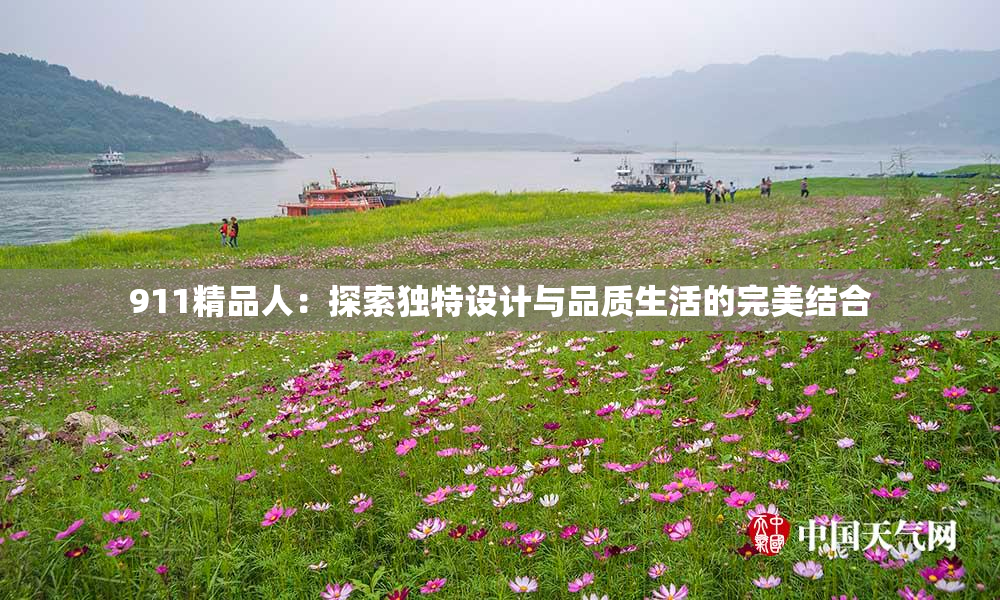911精品人：探索独特设计与品质生活的完美结合