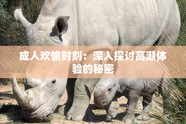 成人欢愉时刻：深入探讨高潮体验的秘密