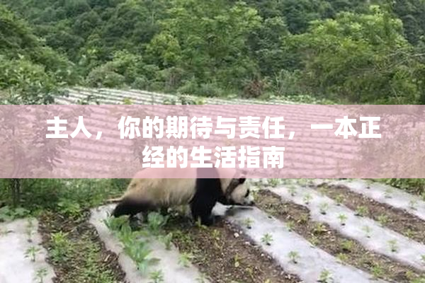 主人，你的期待与责任，一本正经的生活指南