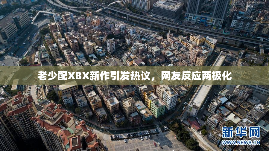 老少配XBX新作引发热议，网友反应两极化