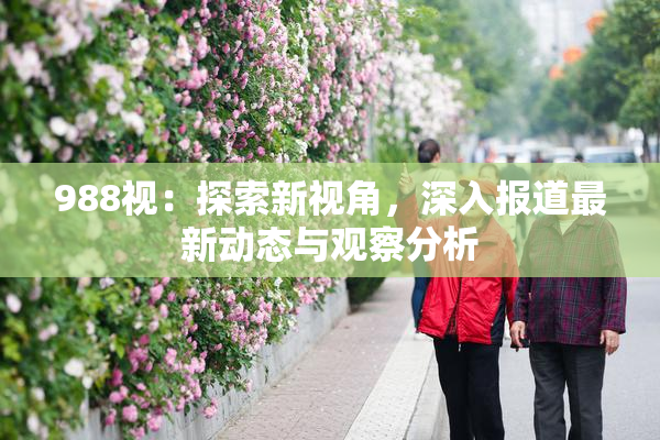 988视：探索新视角，深入报道最新动态与观察分析