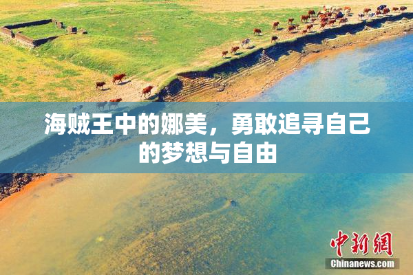 海贼王中的娜美，勇敢追寻自己的梦想与自由