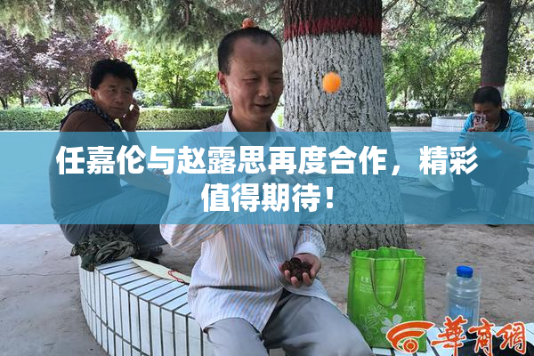 任嘉伦与赵露思再度合作，精彩值得期待！