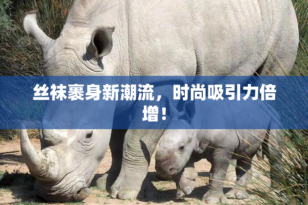 丝袜裹身新潮流，时尚吸引力倍增！