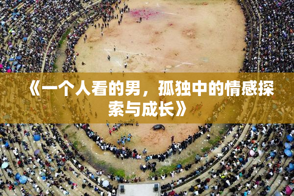《一个人看的男，孤独中的情感探索与成长》