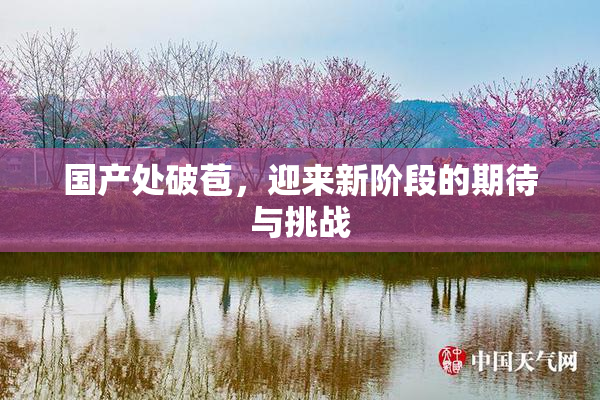 国产处破苞，迎来新阶段的期待与挑战
