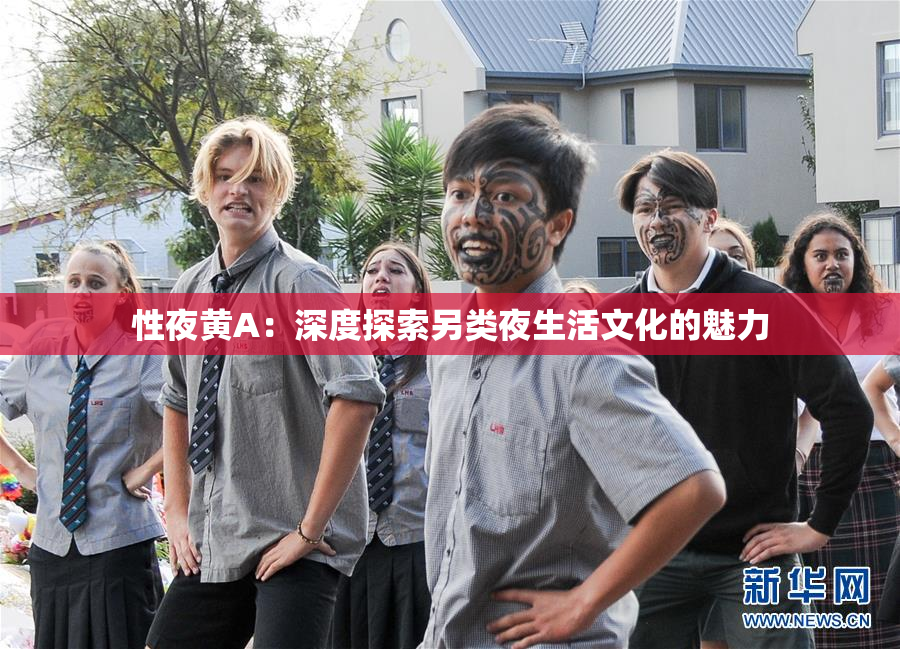性夜黄A：深度探索另类夜生活文化的魅力