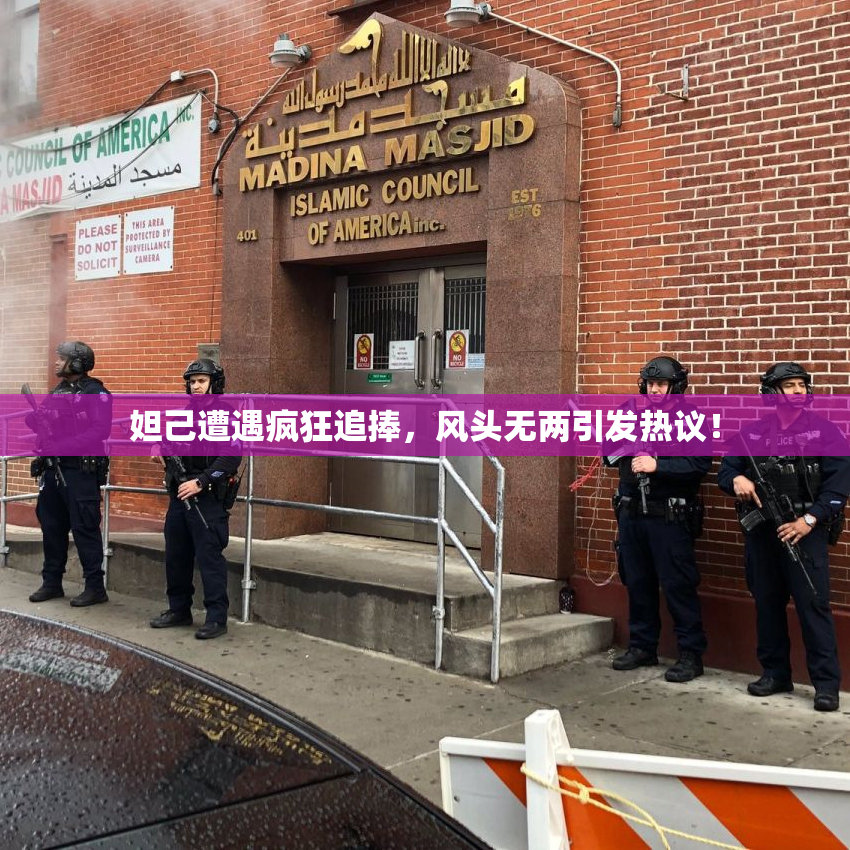 妲己遭遇疯狂追捧，风头无两引发热议！