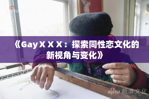 《GayⅩⅩⅩ：探索同性恋文化的新视角与变化》