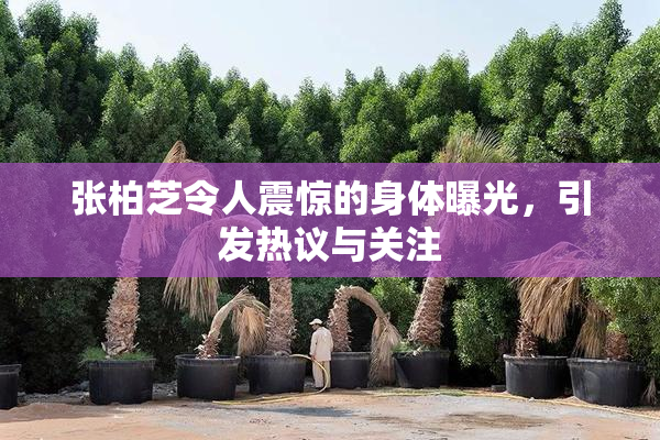 张柏芝令人震惊的身体曝光，引发热议与关注