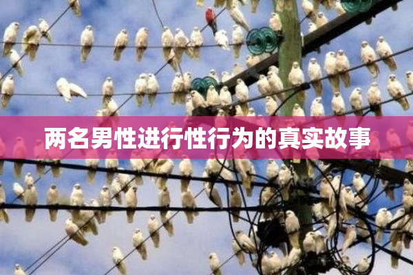两名男性进行性行为的真实故事