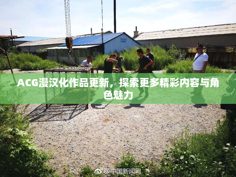 ACG漫汉化作品更新，探索更多精彩内容与角色魅力