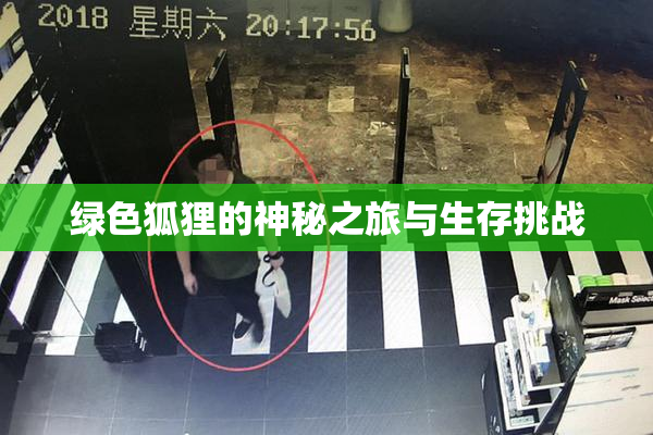 绿色狐狸的神秘之旅与生存挑战