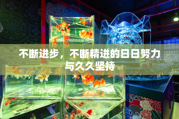 不断进步，不断精进的日日努力与久久坚持