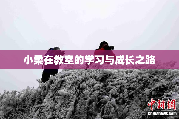 小柔在教室的学习与成长之路