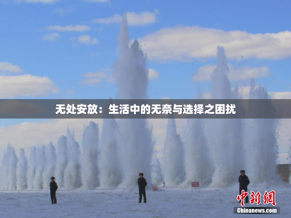 无处安放：生活中的无奈与选择之困扰