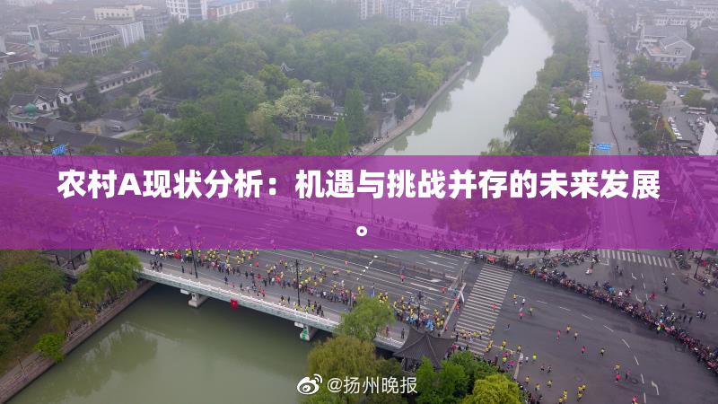 农村A现状分析：机遇与挑战并存的未来发展。
