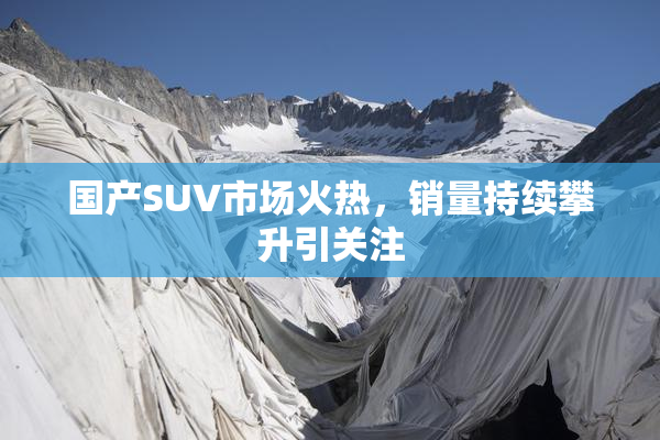 国产SUV市场火热，销量持续攀升引关注