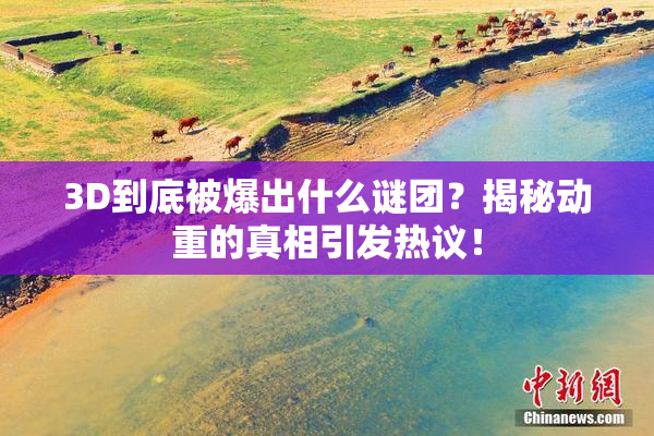 3D到底被爆出什么谜团？揭秘动重的真相引发热议！
