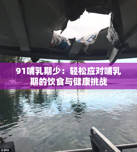 91哺乳期少：轻松应对哺乳期的饮食与健康挑战